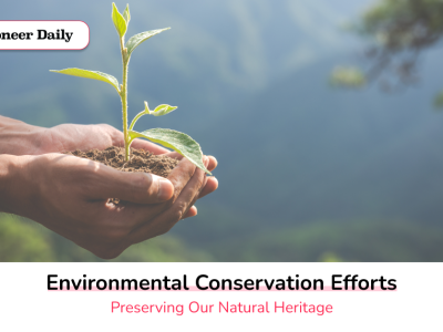 environmental conservation efforts